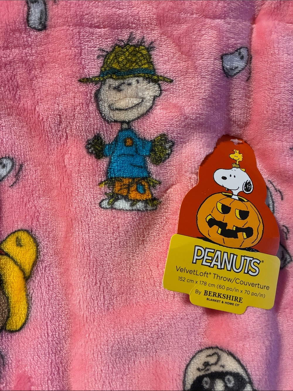Berkshire Peanuts VelvetLoft Pink Halloween Kids Throw